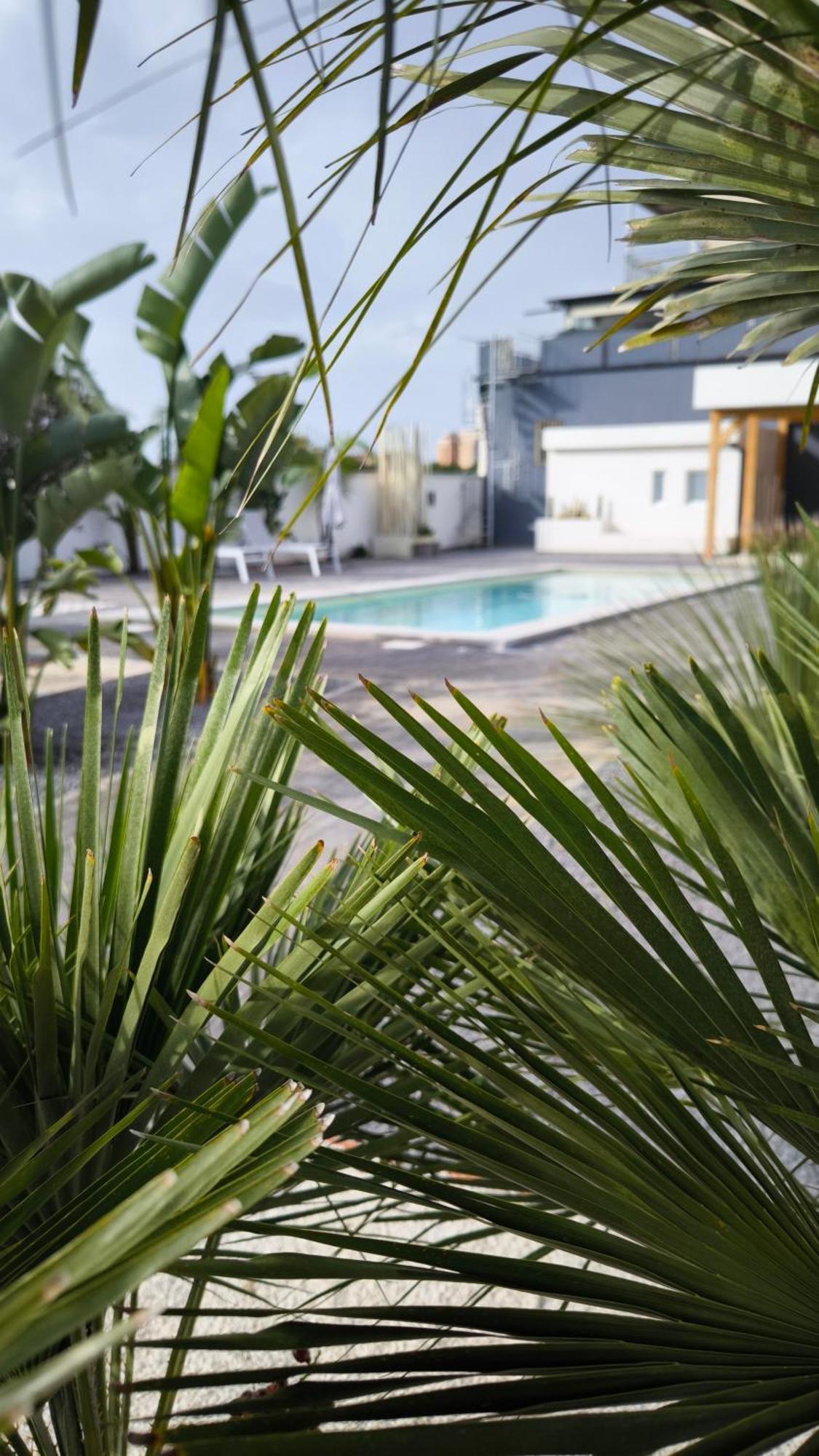 Vistamare Beach Garden Relax San Leone Exterior foto